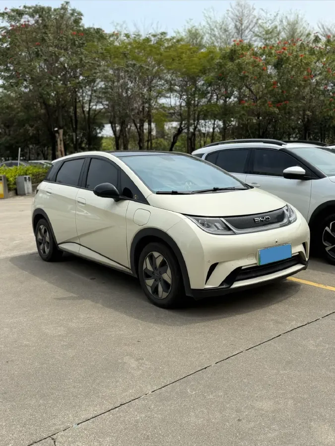 2025 BYD Dolphin BEV 44.928KWH,autocango,china used car exporter,china ev exporter,chinese used car exporter,chinese used ev exporter