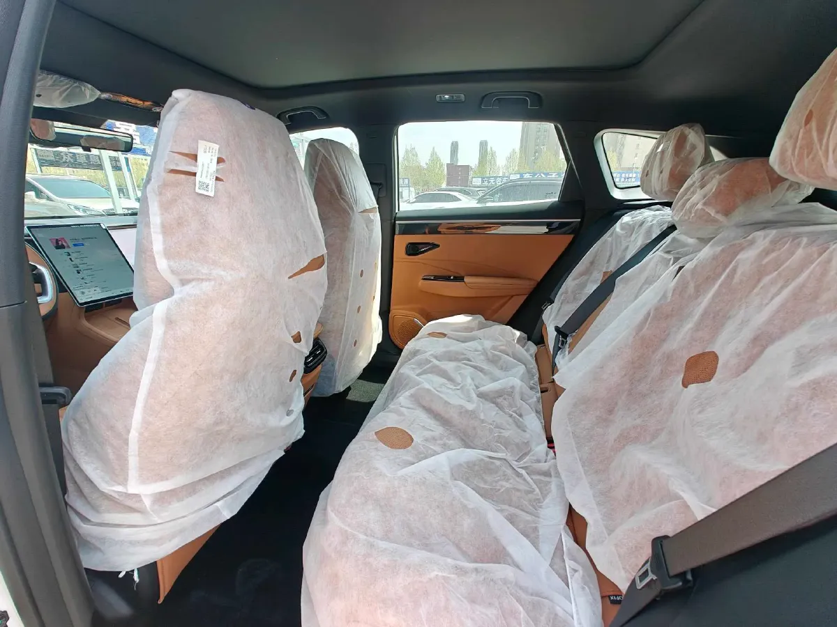 2025 BYD Sea Lion 05 DM-i 1.5L 101HP L4 E-CVT PHEV 18.3KWH,autocango,china used car exporter,china ev exporter,chinese used car exporter,chinese used ev exporter