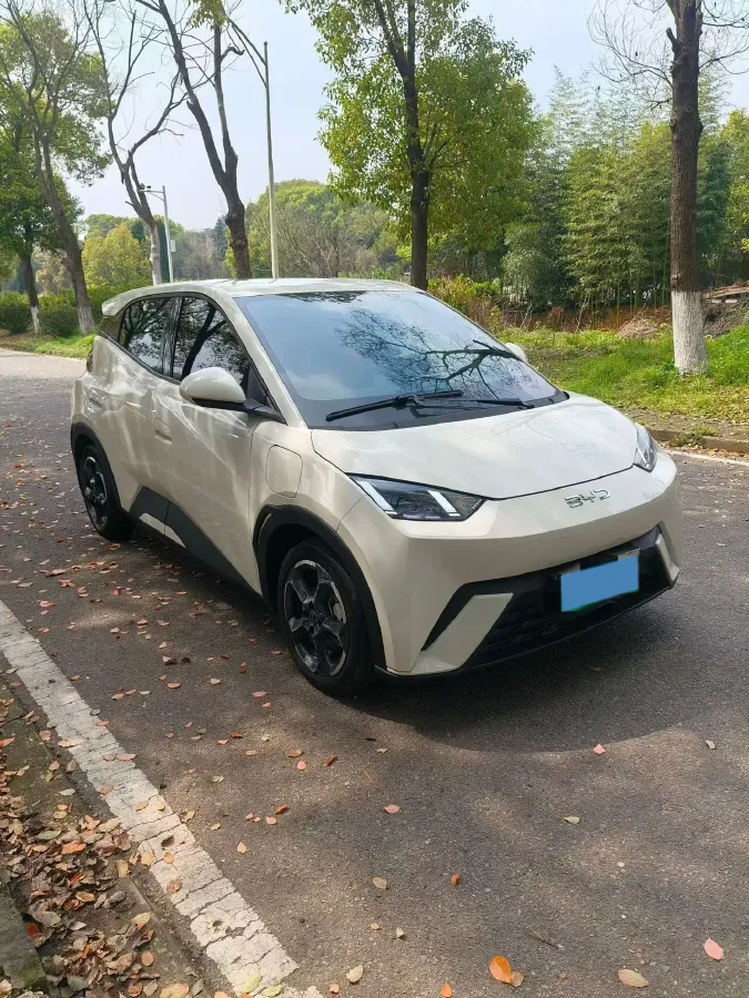 2023 BYD Seagull BEV 30.08KWH,autocango,china used car exporter,china ev exporter,chinese used car exporter,chinese used ev exporter