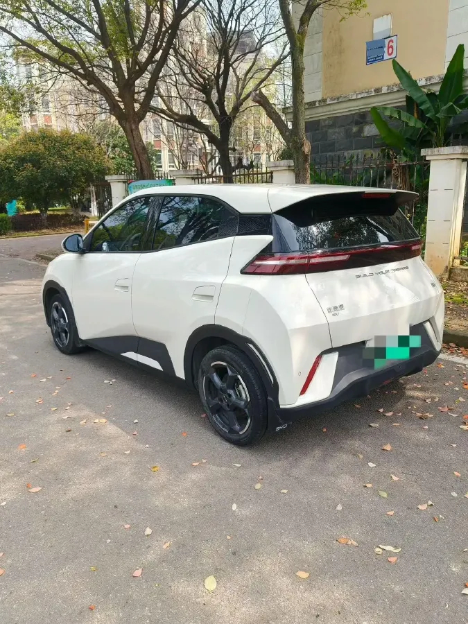 2023 BYD Seagull BEV 30.08KWH,autocango,china used car exporter,china ev exporter,chinese used car exporter,chinese used ev exporter