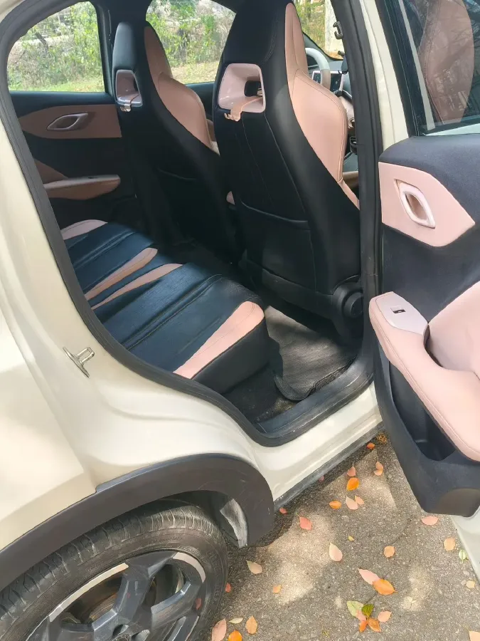 2023 BYD Seagull BEV 30.08KWH,autocango,china used car exporter,china ev exporter,chinese used car exporter,chinese used ev exporter