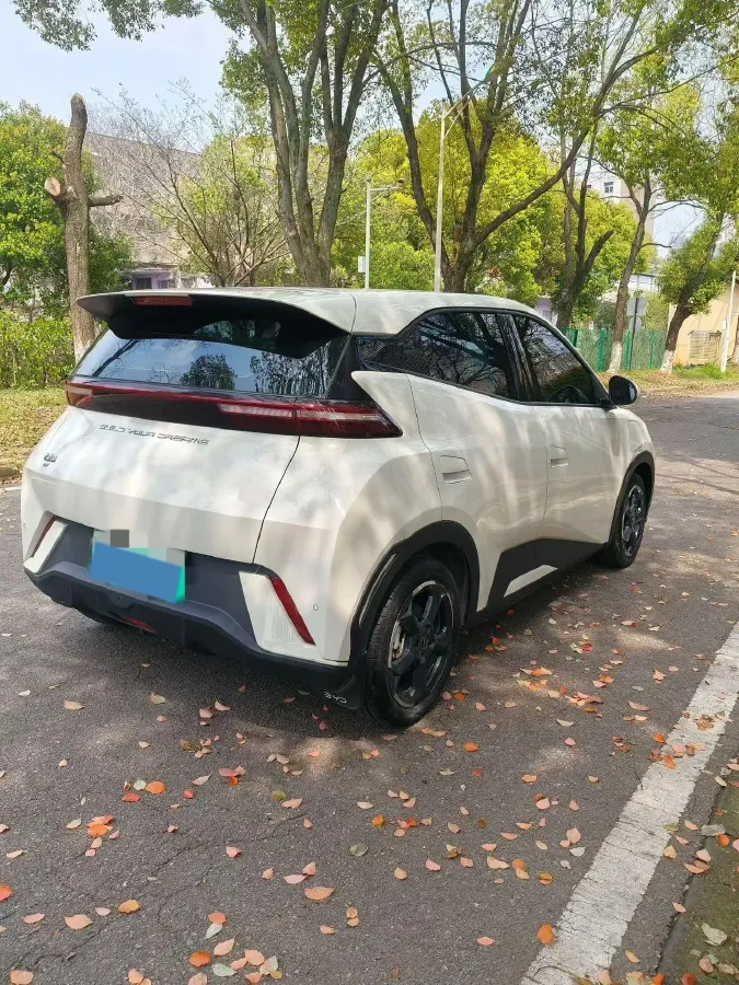 2023 BYD Seagull BEV 30.08KWH,autocango,china used car exporter,china ev exporter,chinese used car exporter,chinese used ev exporter