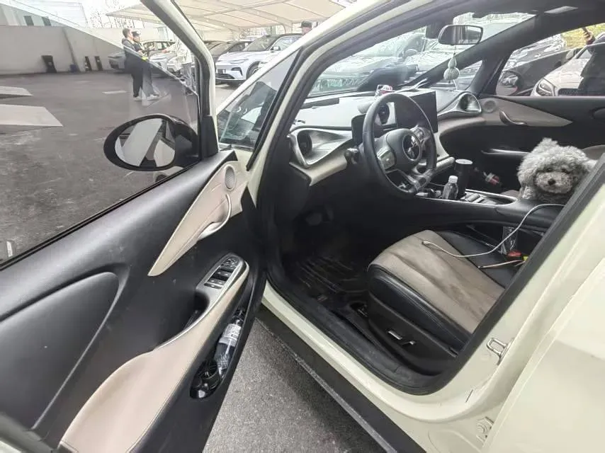 2023 BYD Dolphin BEV 44.928KWH,autocango,china used car exporter,china ev exporter,chinese used car exporter,chinese used ev exporter