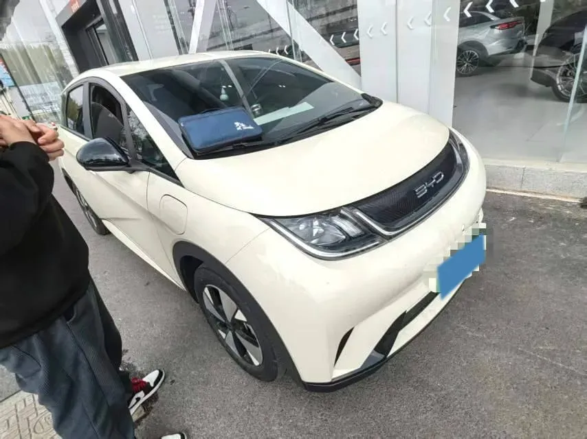 2023 BYD Dolphin BEV 44.928KWH,autocango,china used car exporter,china ev exporter,chinese used car exporter,chinese used ev exporter