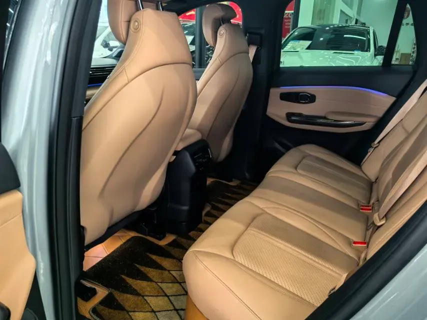 2020 Lexus NX 2.5L 155HP L4 E-CVT Hybrid,autocango,china used car exporter,china ev exporter,chinese used car exporter,chinese used ev exporter