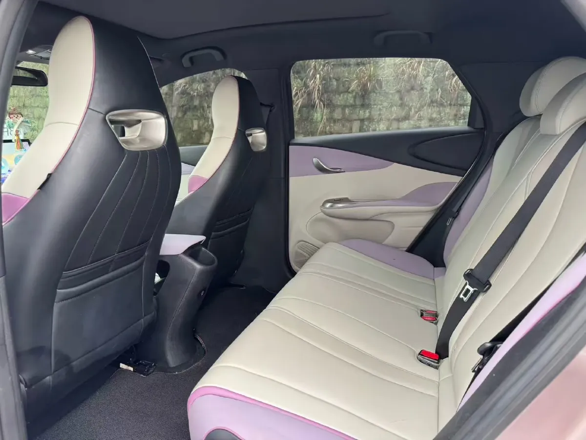 2021 BYD e2 BEV 43.2KWH,autocango,china used car exporter,china ev exporter,chinese used car exporter,chinese used ev exporter