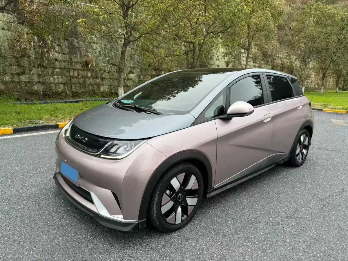 2021 BYD e2 BEV 43.2KWH,autocango,china used car exporter,china ev exporter,chinese used car exporter,chinese used ev exporter