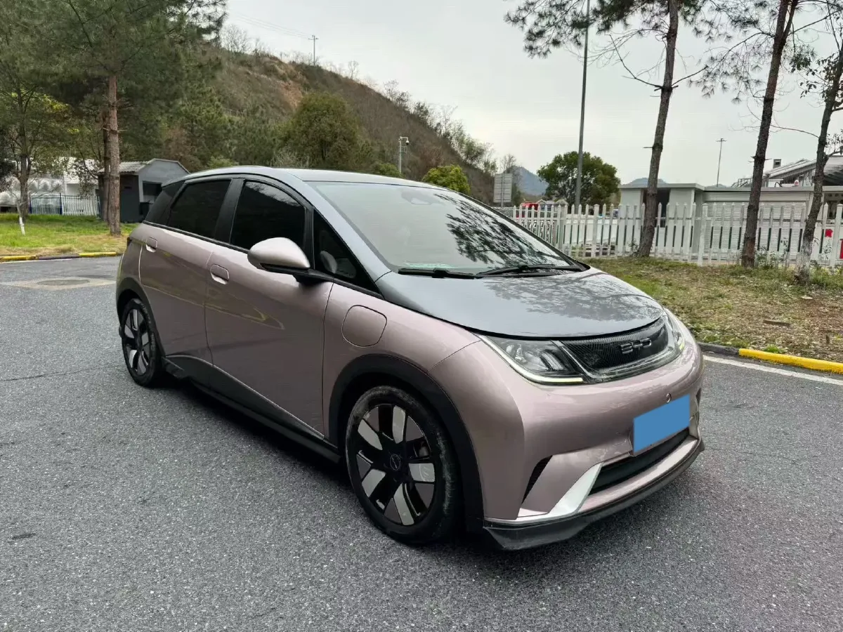 2021 BYD e2 BEV 43.2KWH,autocango,china used car exporter,china ev exporter,chinese used car exporter,chinese used ev exporter