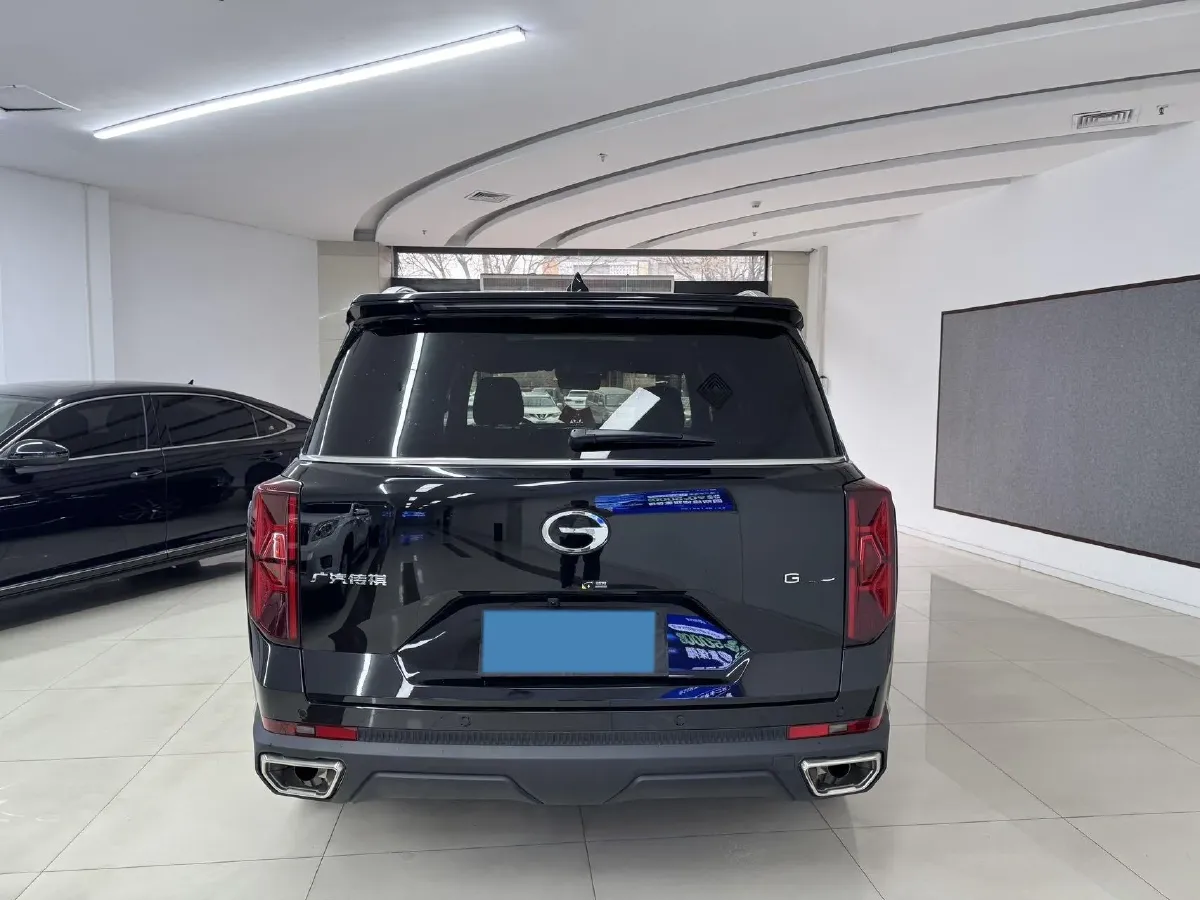 2025 GAC Trumpchi GS8 2.0T 252HP L4 8AT,autocango,china used car exporter,china ev exporter,chinese used car exporter,chinese used ev exporter