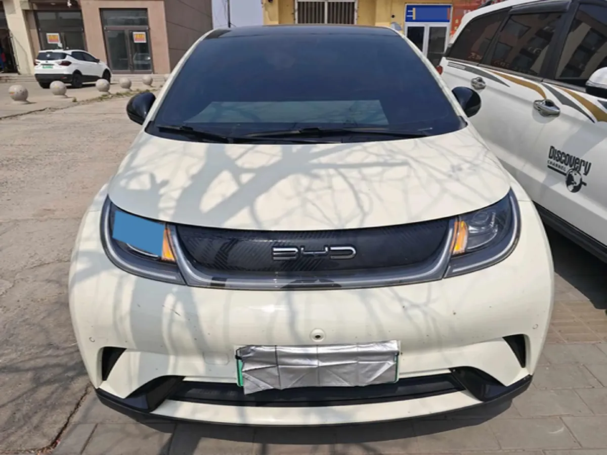 2023 BYD Dolphin BEV 44.928KWH,autocango,china used car exporter,china ev exporter,chinese used car exporter,chinese used ev exporter