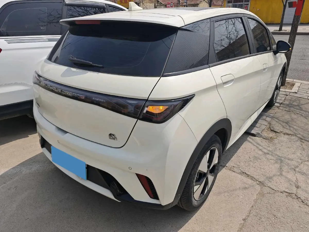 2023 BYD Dolphin BEV 44.928KWH,autocango,china used car exporter,china ev exporter,chinese used car exporter,chinese used ev exporter
