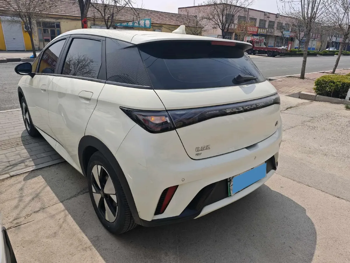 2023 BYD Dolphin BEV 44.928KWH,autocango,china used car exporter,china ev exporter,chinese used car exporter,chinese used ev exporter