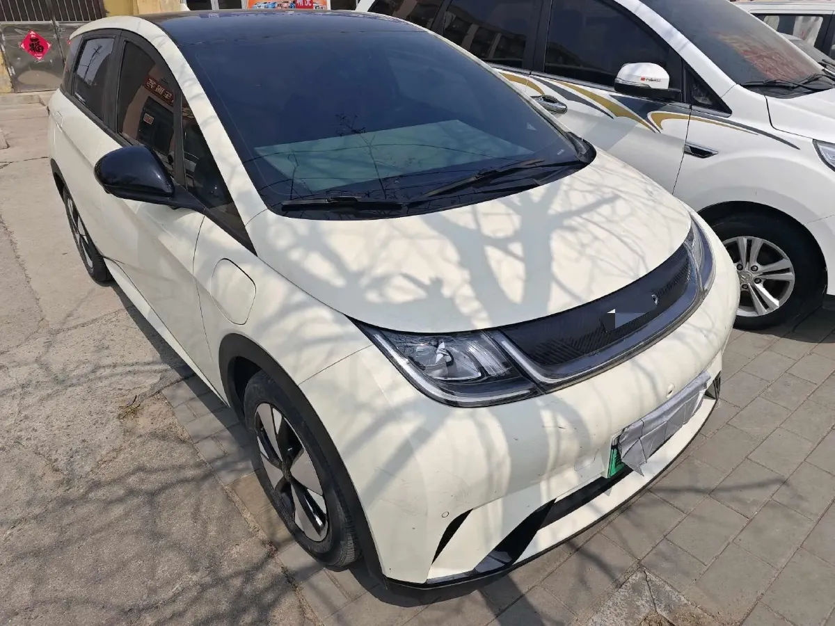 2023 BYD Dolphin BEV 44.928KWH,autocango,china used car exporter,china ev exporter,chinese used car exporter,chinese used ev exporter