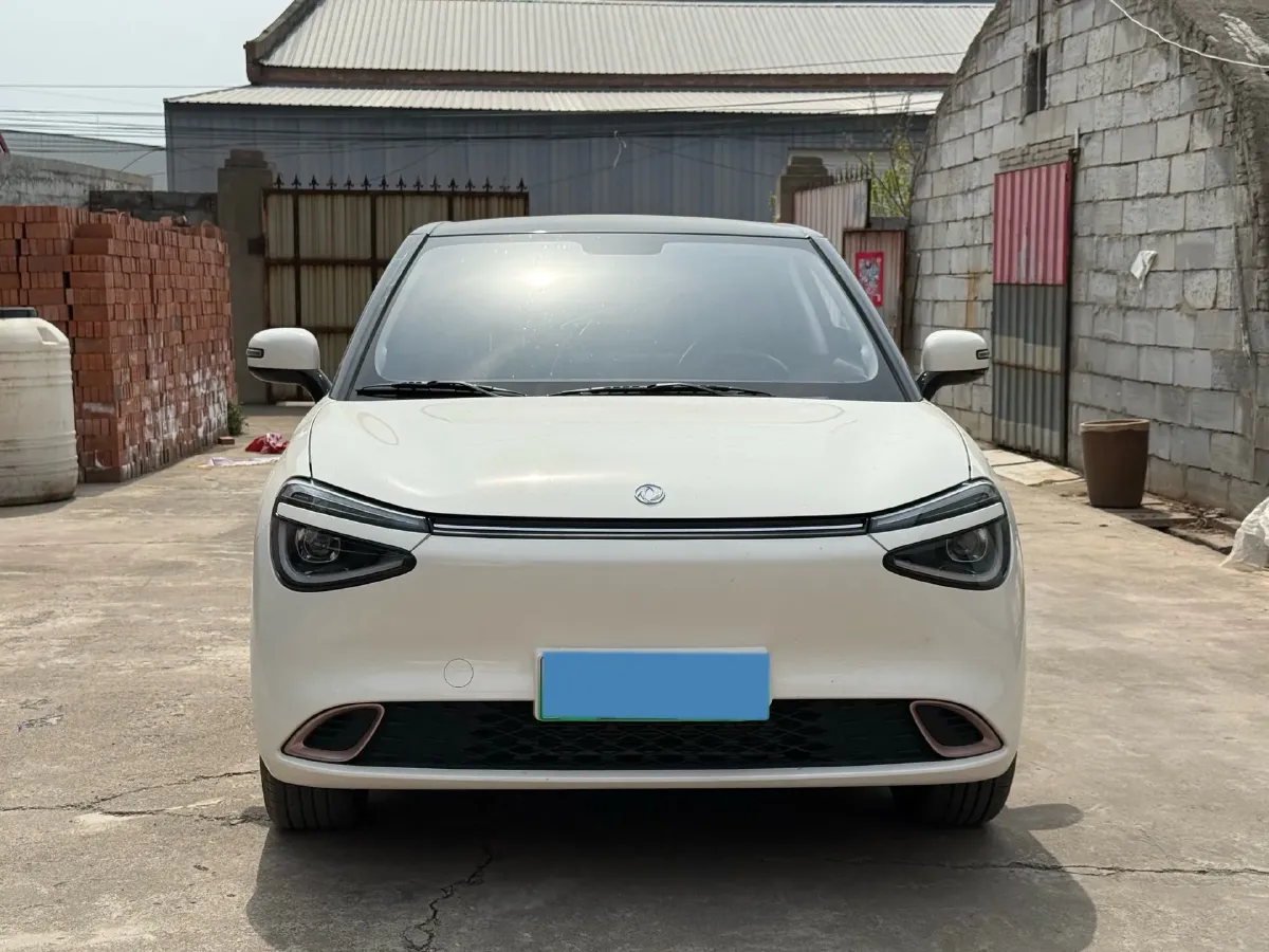 2024 DongFeng Nammi 01 BEV 42.3KWH,autocango,china used car exporter,china ev exporter,chinese used car exporter,chinese used ev exporter