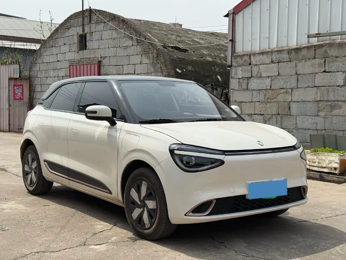 2024 DongFeng Nammi 01 BEV 42.3KWH,autocango,china used car exporter,china ev exporter,chinese used car exporter,chinese used ev exporter