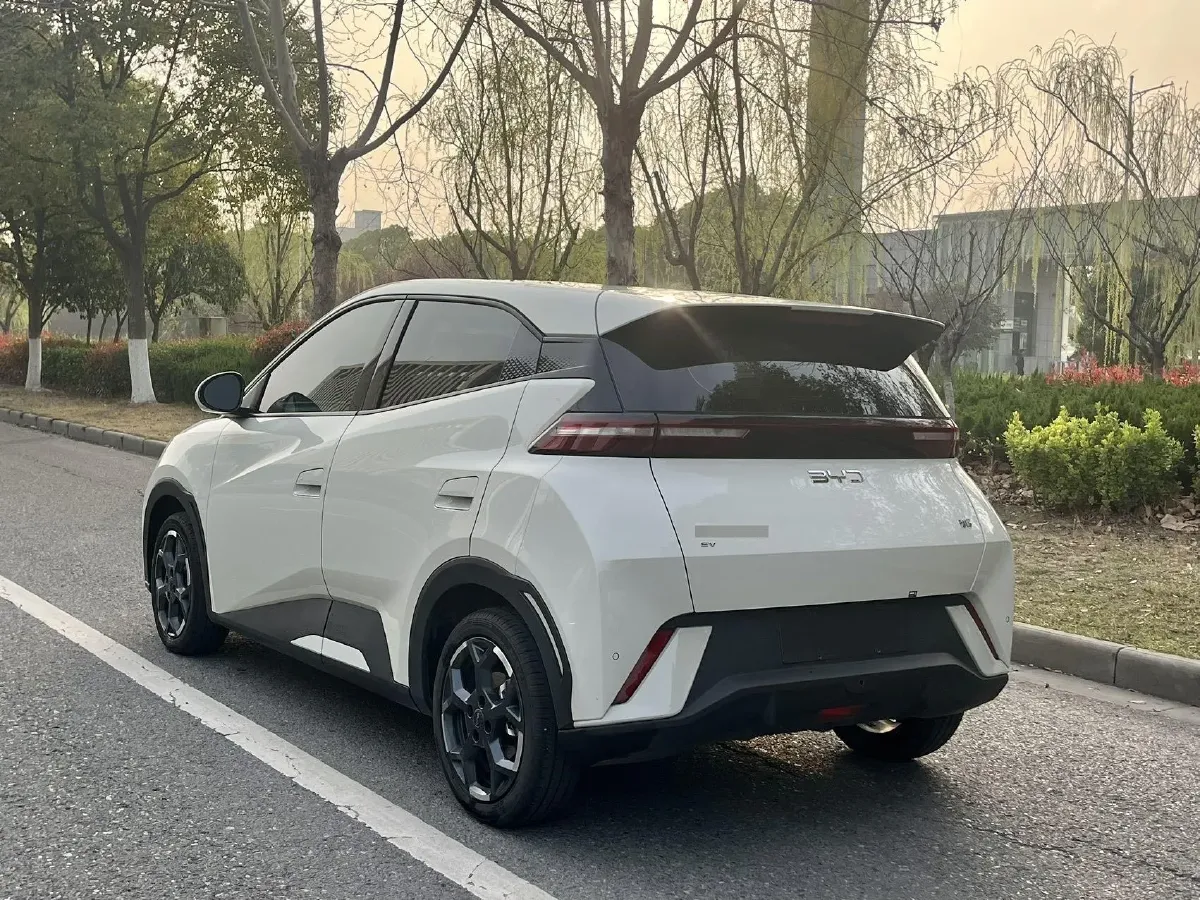 2025 BYD Seagull BEV 30.08KWH,autocango,china used car exporter,china ev exporter,chinese used car exporter,chinese used ev exporter