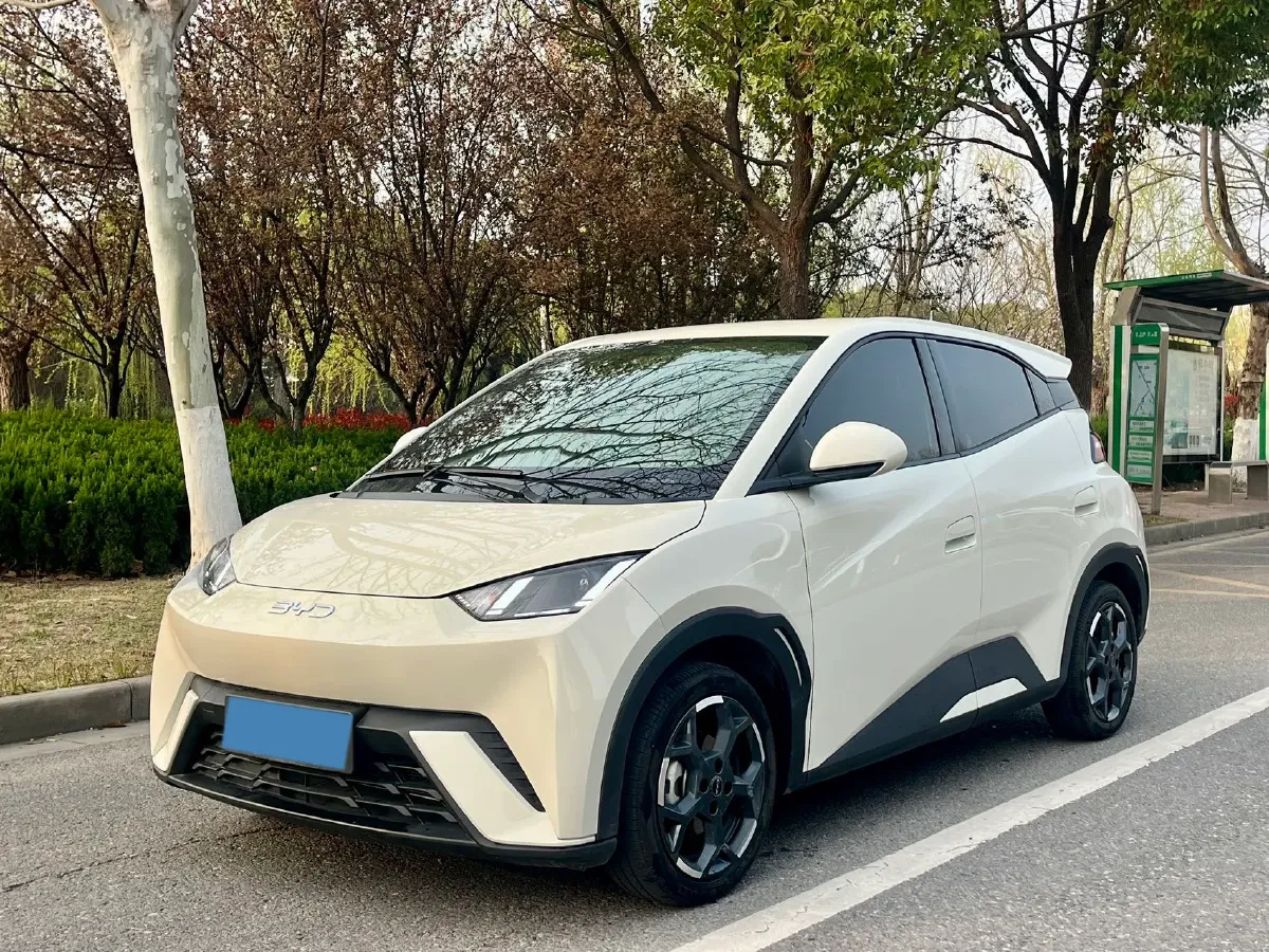 2025 BYD Seagull BEV 30.08KWH,autocango,china used car exporter,china ev exporter,chinese used car exporter,chinese used ev exporter