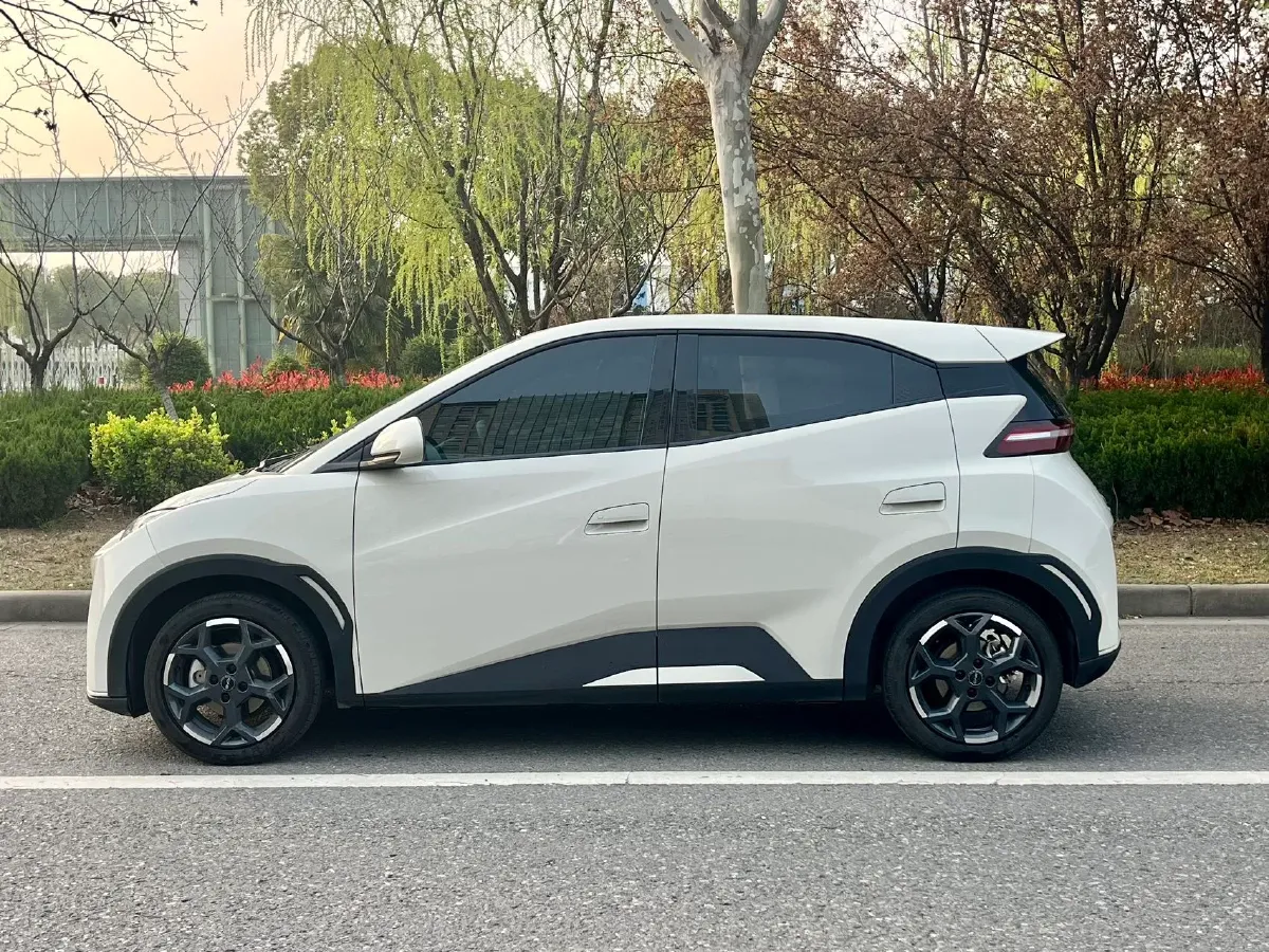 2025 BYD Seagull BEV 30.08KWH,autocango,china used car exporter,china ev exporter,chinese used car exporter,chinese used ev exporter