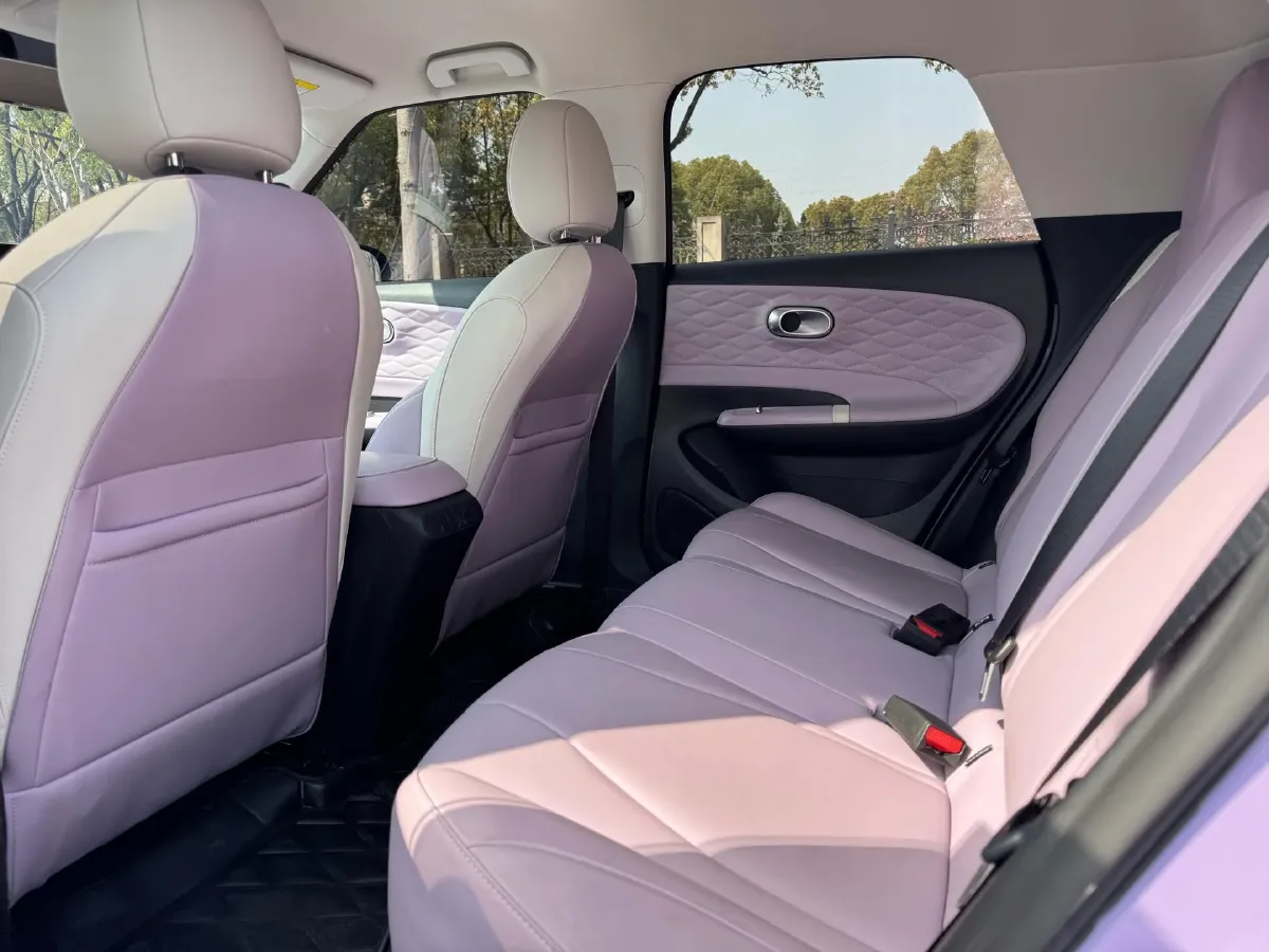 2024 DongFeng eπ 01 BEV 31.45KWH,autocango,china used car exporter,china ev exporter,chinese used car exporter,chinese used ev exporter