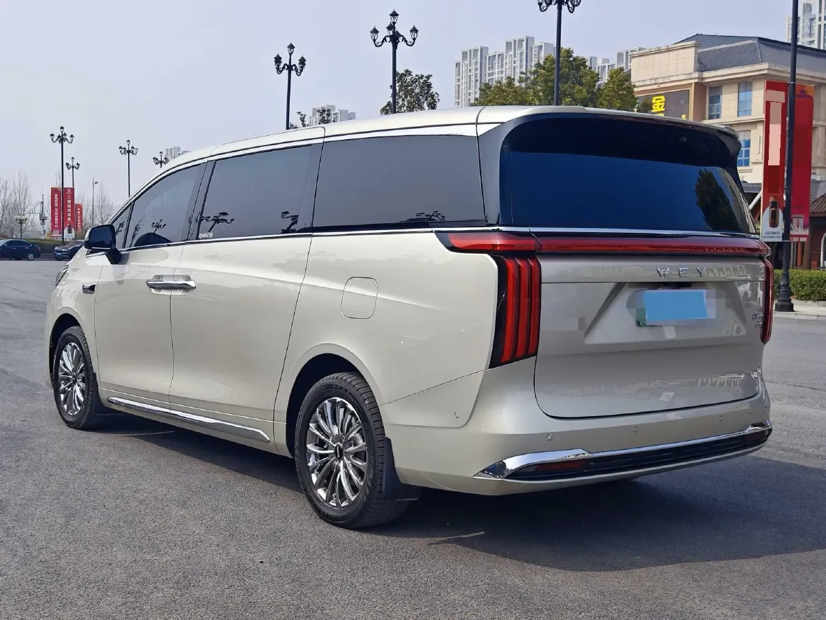 2025 WEY HighMountain 1.5T 170HP L4 4DHT PHEV,autocango,china used car exporter,china ev exporter,chinese used car exporter,chinese used ev exporter