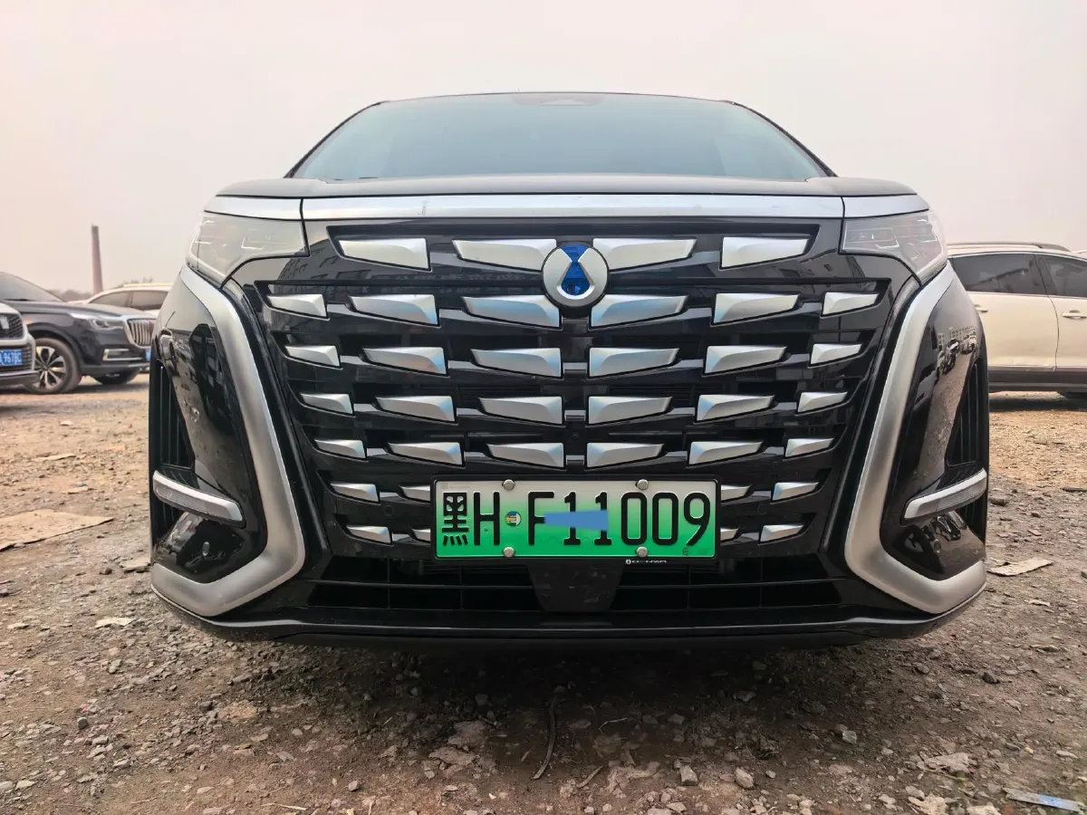 2024 Denza D9 1.5T 139HP L4 E-CVT PHEV 40KWH,autocango,china used car exporter,china ev exporter,chinese used car exporter,chinese used ev exporter