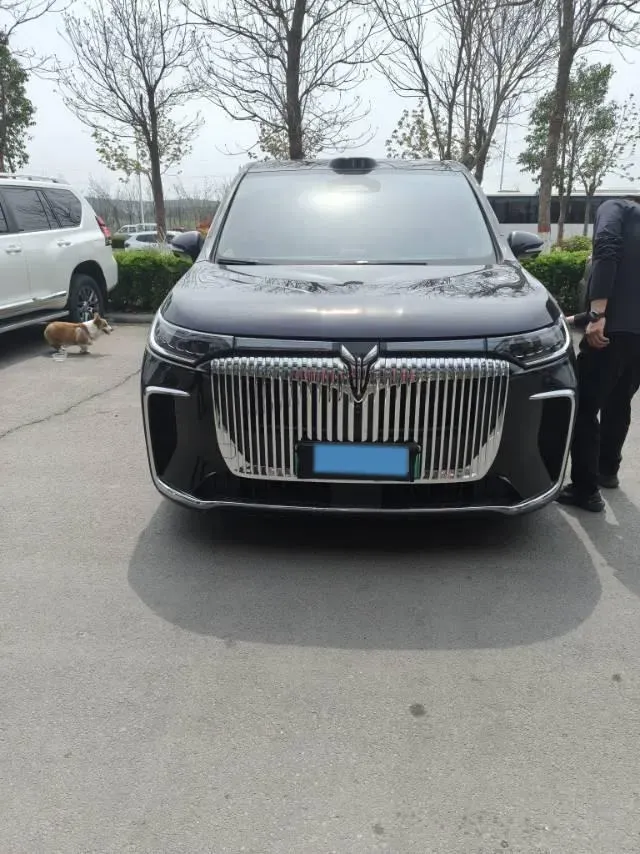 2025 Voyah Dream 1.5T 150HP L4 PHEV 41.7KWH,autocango,china used car exporter,china ev exporter,chinese used car exporter,chinese used ev exporter