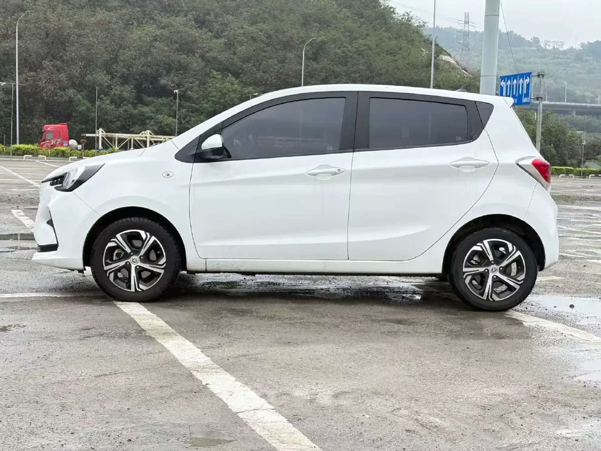 2020 ChangAn BenBen E-Star BEV 32.2KWH,autocango,china used car exporter,china ev exporter,chinese used car exporter,chinese used ev exporter