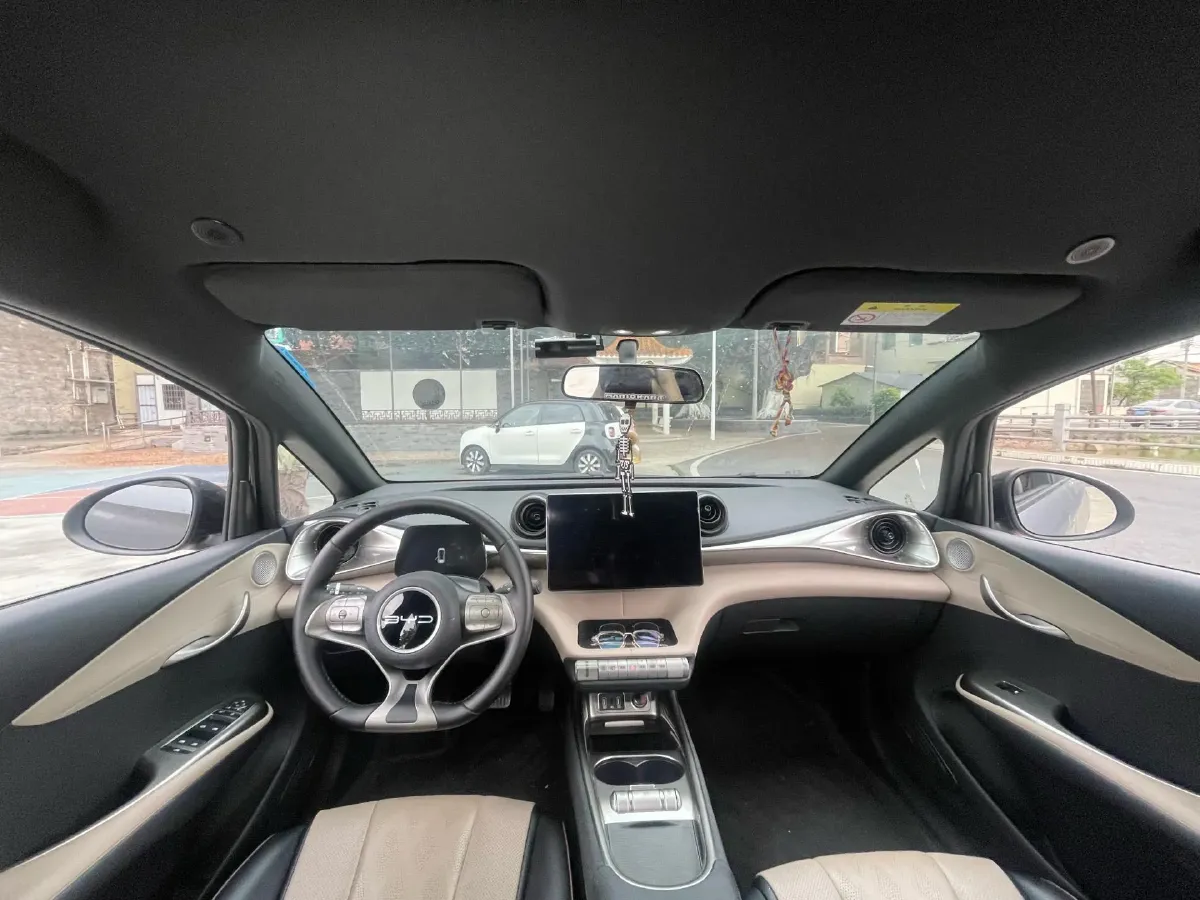 2023 BYD Dolphin BEV 44.928KWH,autocango,china used car exporter,china ev exporter,chinese used car exporter,chinese used ev exporter