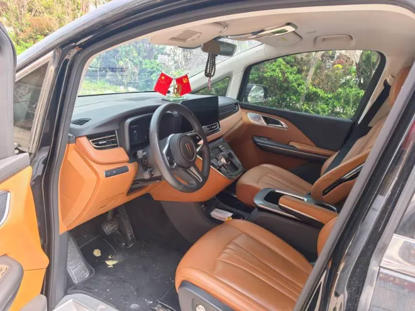 2023 HongQi HQ9 2.0T 252HP L4 8AT,autocango,china used car exporter,china ev exporter,chinese used car exporter,chinese used ev exporter