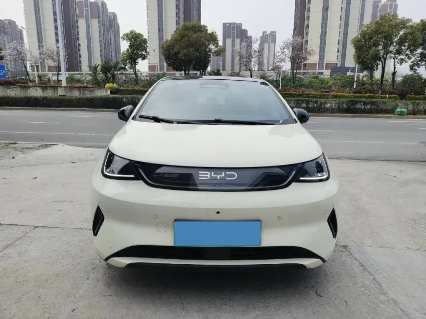 2025 BYD Dolphin BEV 45.12KWH,autocango,china used car exporter,china ev exporter,chinese used car exporter,chinese used ev exporter