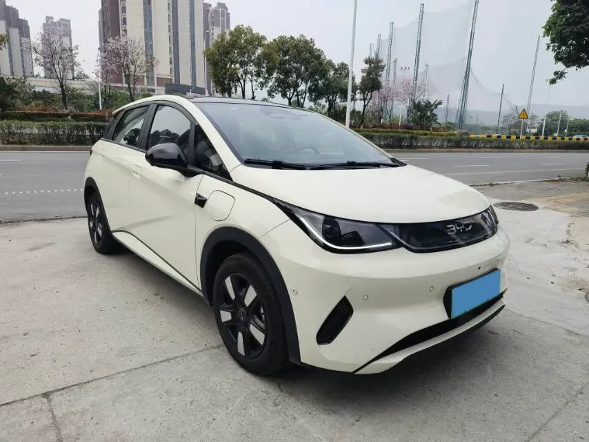 2025 BYD Dolphin BEV 45.12KWH,autocango,china used car exporter,china ev exporter,chinese used car exporter,chinese used ev exporter
