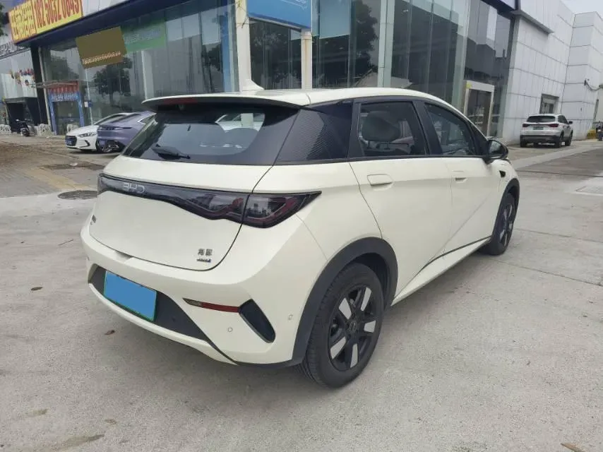 2025 BYD Dolphin BEV 45.12KWH,autocango,china used car exporter,china ev exporter,chinese used car exporter,chinese used ev exporter