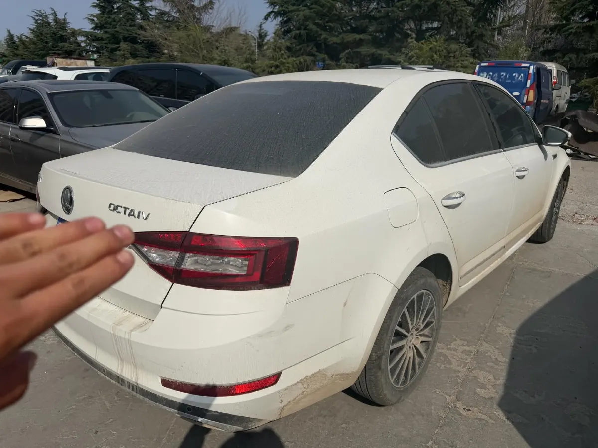 2018 Skoda Octavia 1.2T 116HP L4 7DCT,autocango,china used car exporter,china ev exporter,chinese used car exporter,chinese used ev exporter