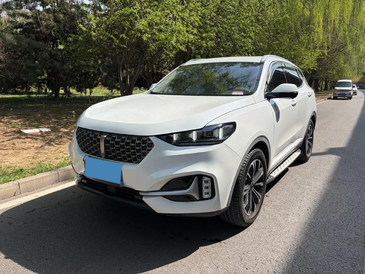 2021 WEY VV6 2.0T 227HP L4 7DCT,autocango,china used car exporter,china ev exporter,chinese used car exporter,chinese used ev exporter