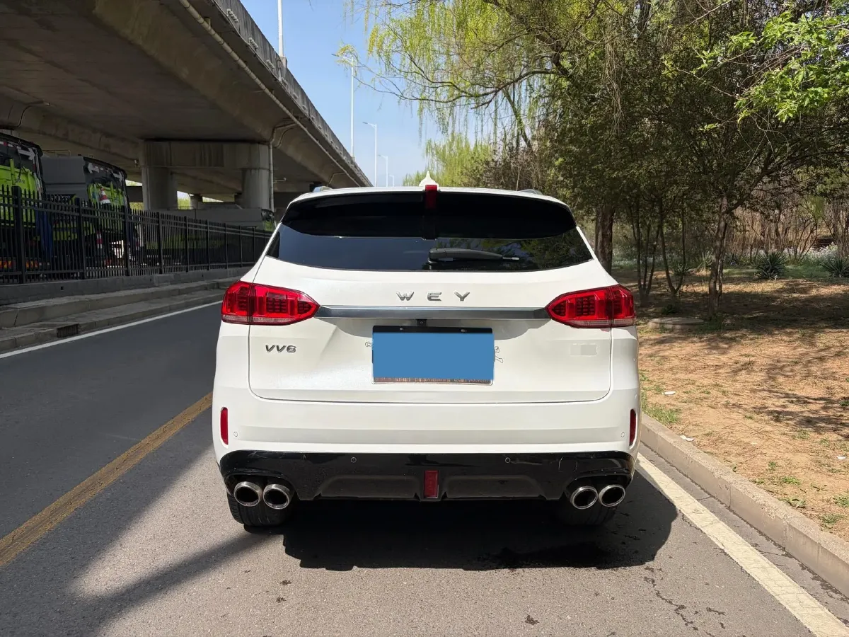 2021 WEY VV6 2.0T 227HP L4 7DCT,autocango,china used car exporter,china ev exporter,chinese used car exporter,chinese used ev exporter