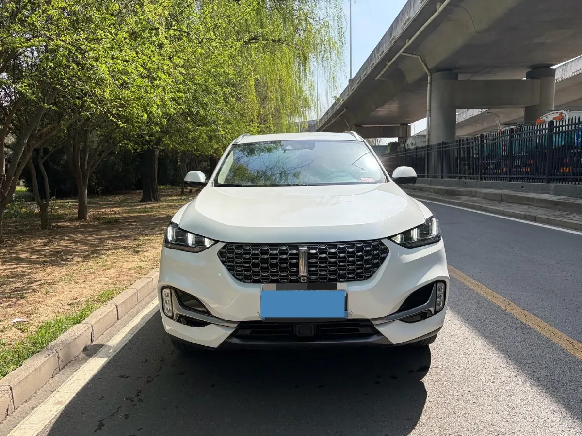 2021 WEY VV6 2.0T 227HP L4 7DCT,autocango,china used car exporter,china ev exporter,chinese used car exporter,chinese used ev exporter