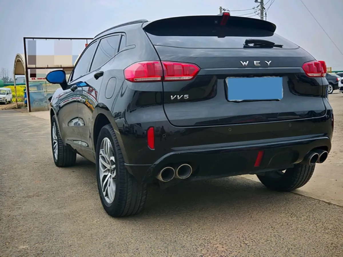 2019 WEY VV5 2.0T 224HP L4 7DCT,autocango,china used car exporter,china ev exporter,chinese used car exporter,chinese used ev exporter