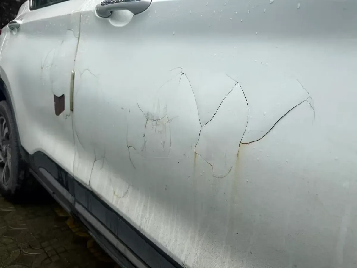 2017 BaoJun 310W 1.5L 105HP L4 6MT,autocango,china used car exporter,china ev exporter,chinese used car exporter,chinese used ev exporter