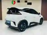 2025 BYD Seagull BEV 30.08KWH