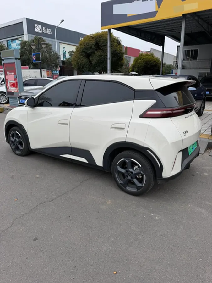 2024 BYD Seagull BEV 30.08KWH,autocango,china used car exporter,china ev exporter,chinese used car exporter,chinese used ev exporter
