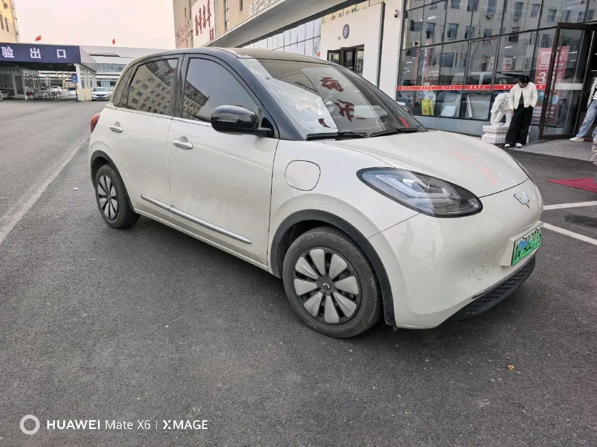 2023 WuLing BinGuo BEV 37.9KWH,autocango,china used car exporter,china ev exporter,chinese used car exporter,chinese used ev exporter