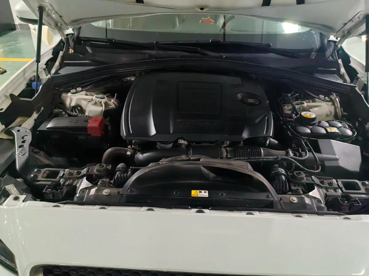 2019 Jaguar F-PACE 2.0T 250HP L4 8AT,autocango,china used car exporter,china ev exporter,chinese used car exporter,chinese used ev exporter