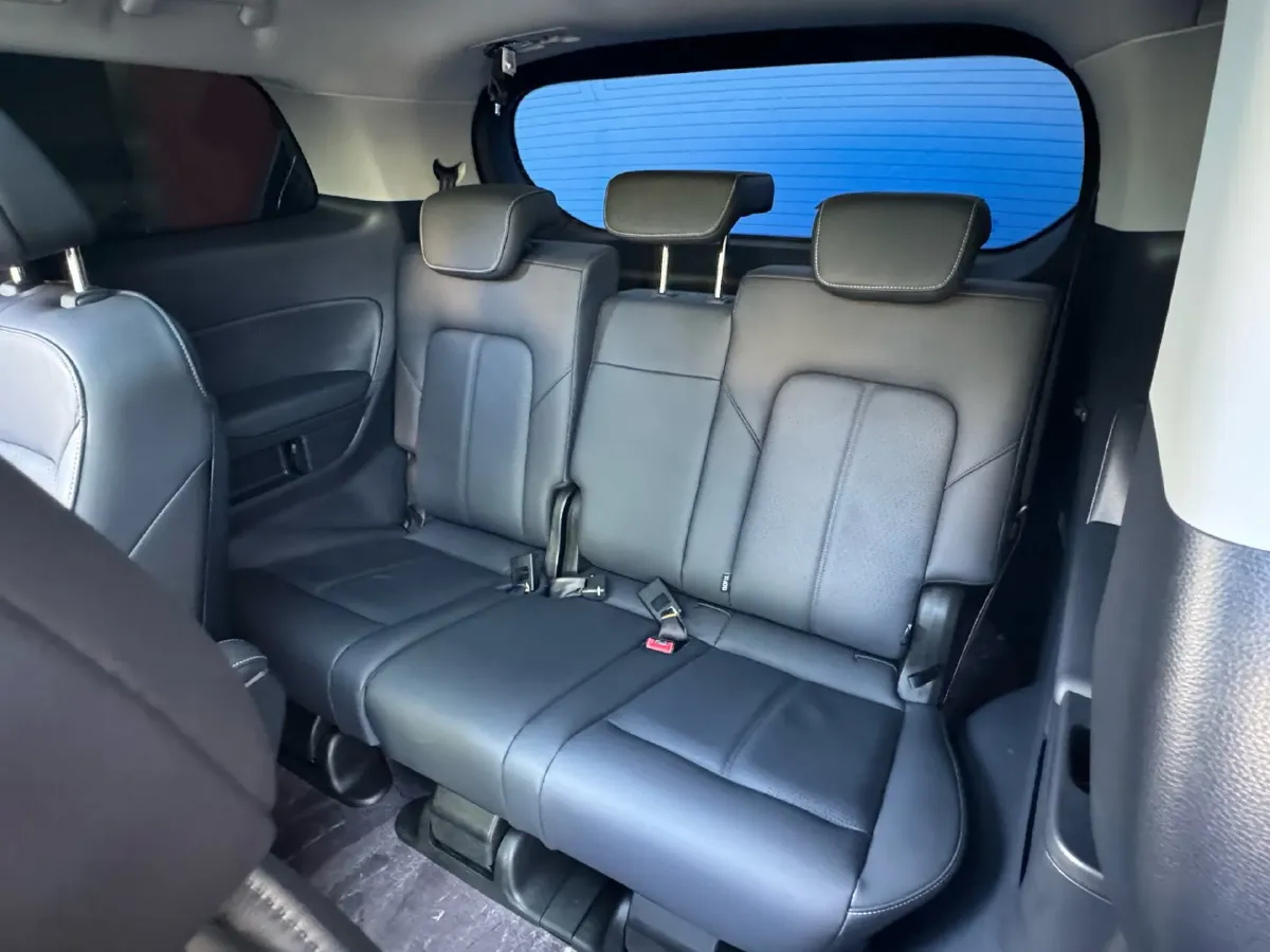 2021 GAC Trumpchi M8 2.0T 252HP L4 8AT,autocango,china used car exporter,china ev exporter,chinese used car exporter,chinese used ev exporter