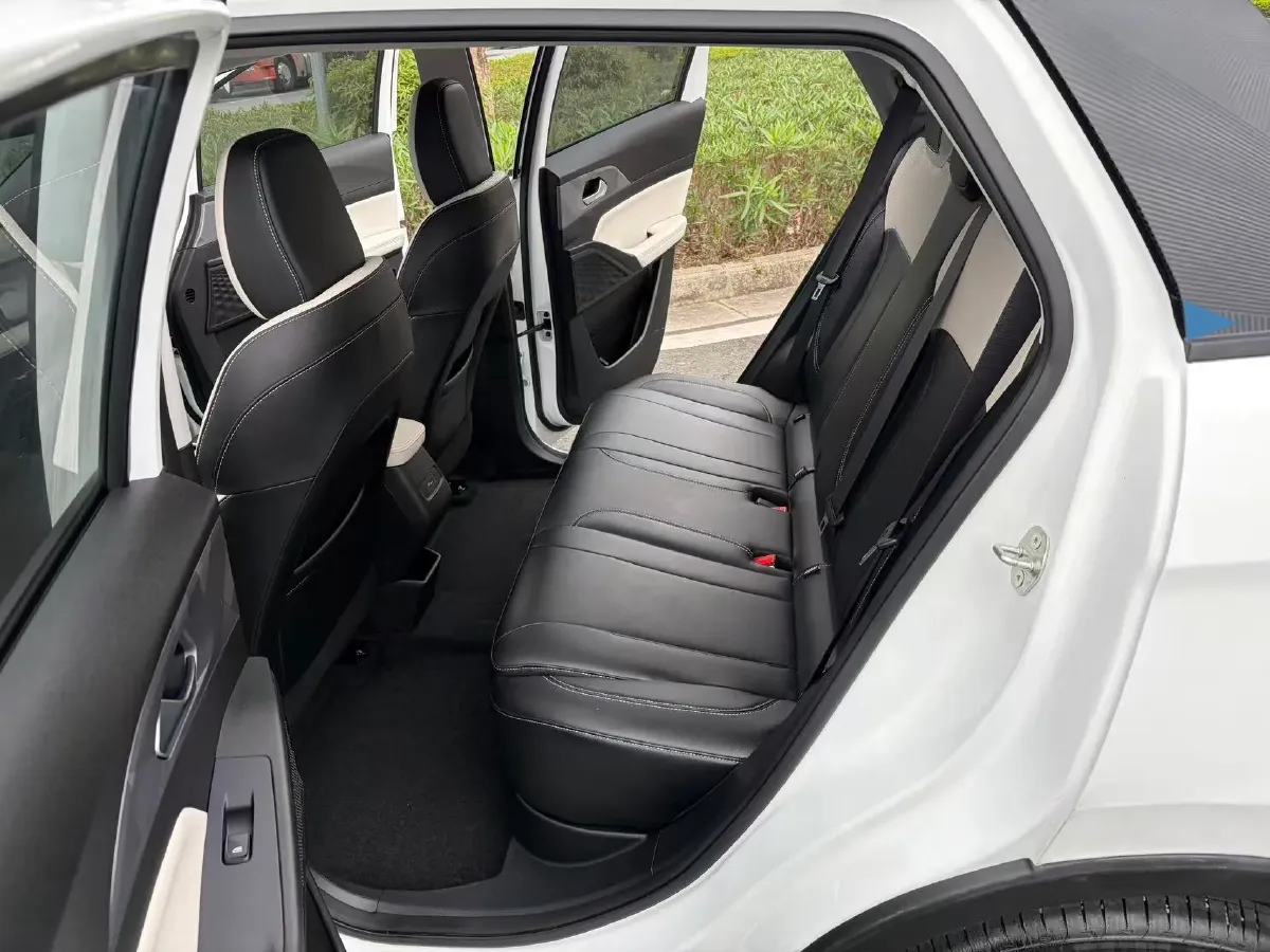 2024 Geometry E BEV 29.67KWH,autocango,china used car exporter,china ev exporter,chinese used car exporter,chinese used ev exporter