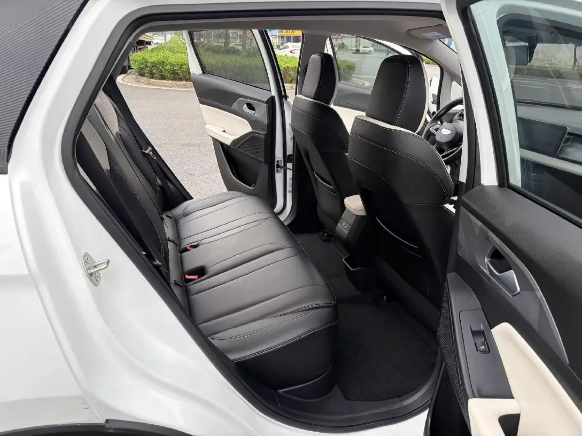 2024 Geometry E BEV 29.67KWH,autocango,china used car exporter,china ev exporter,chinese used car exporter,chinese used ev exporter