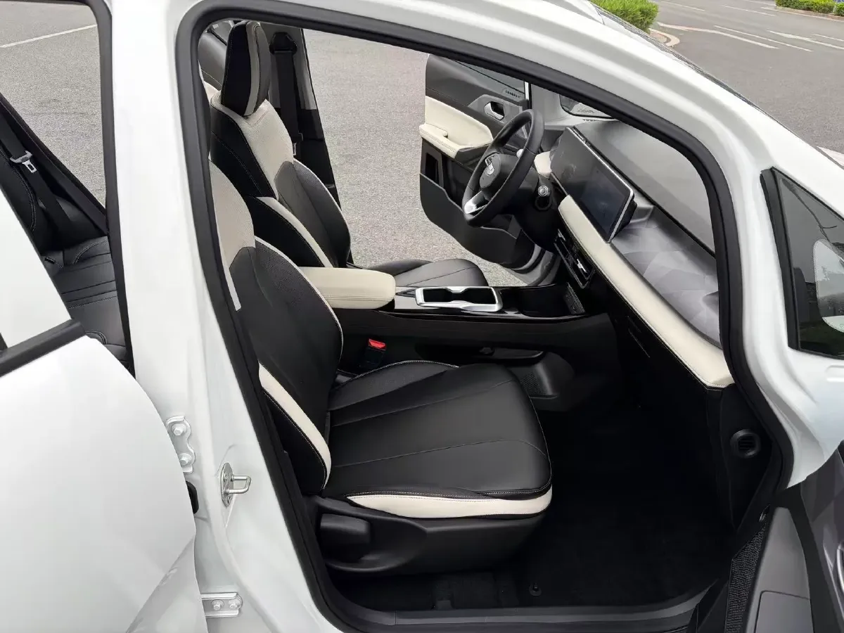 2024 Geometry E BEV 29.67KWH,autocango,china used car exporter,china ev exporter,chinese used car exporter,chinese used ev exporter