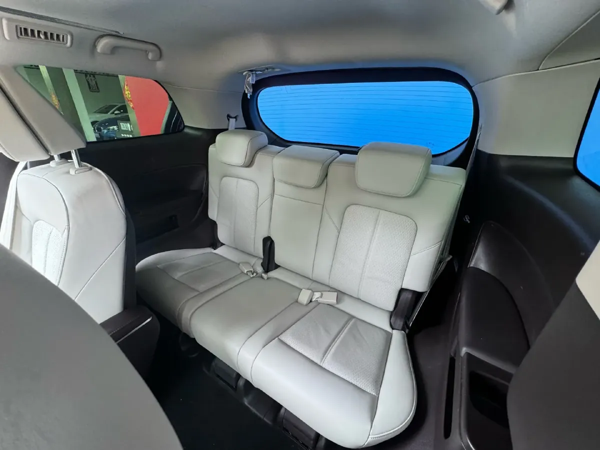 2021 GAC Trumpchi M8 2.0T 252HP L4 8AT,autocango,china used car exporter,china ev exporter,chinese used car exporter,chinese used ev exporter