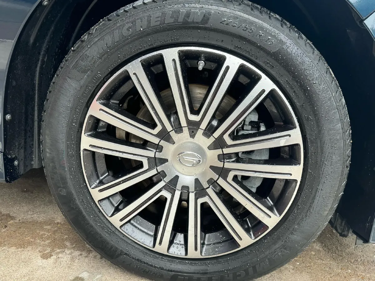 2021 GAC Trumpchi M8 2.0T 252HP L4 8AT,autocango,china used car exporter,china ev exporter,chinese used car exporter,chinese used ev exporter