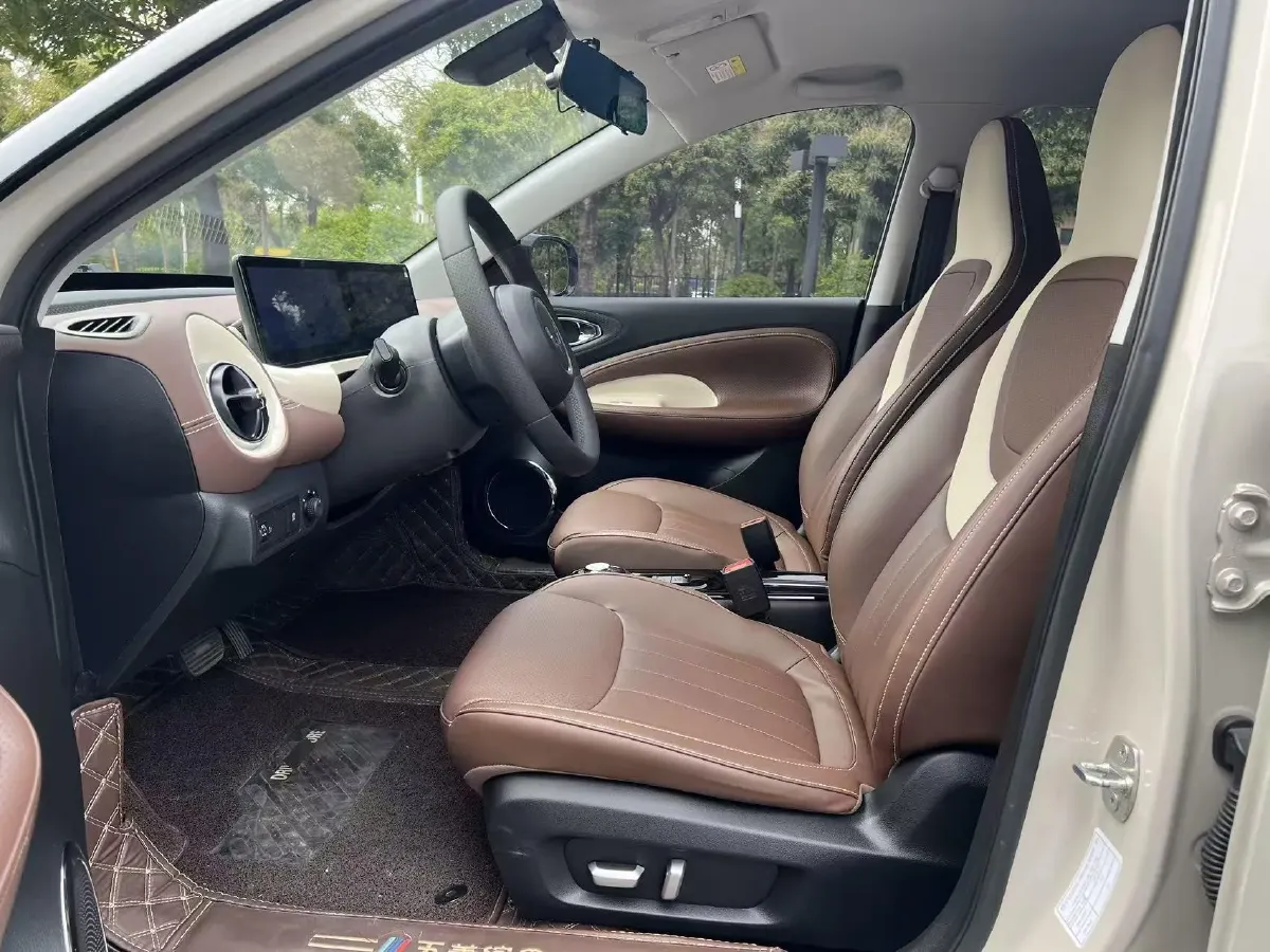 2023 WuLing BinGuo BEV 37.9KWH,autocango,china used car exporter,china ev exporter,chinese used car exporter,chinese used ev exporter