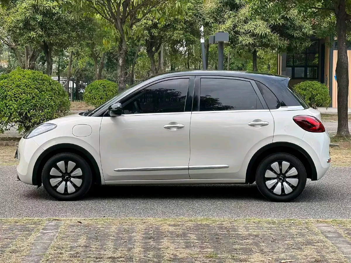 2023 WuLing BinGuo BEV 37.9KWH,autocango,china used car exporter,china ev exporter,chinese used car exporter,chinese used ev exporter